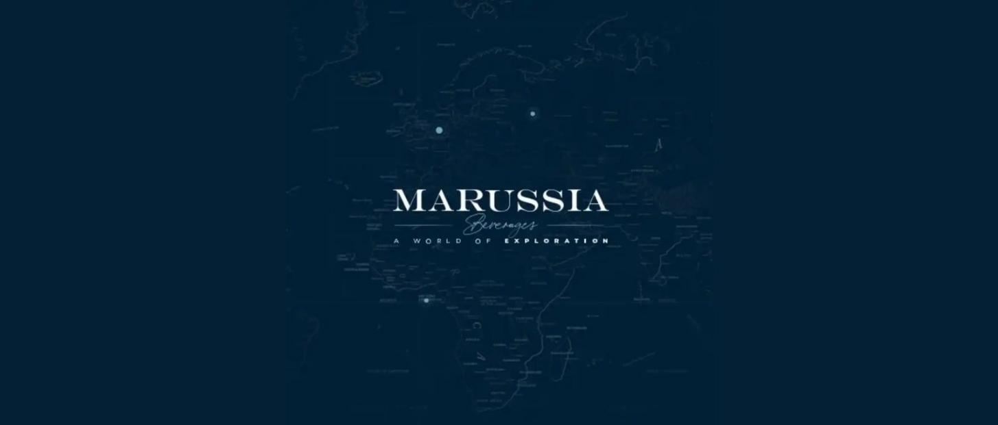 Illustration du projet Publicité sociale & réseaux pour Marussia Beverages