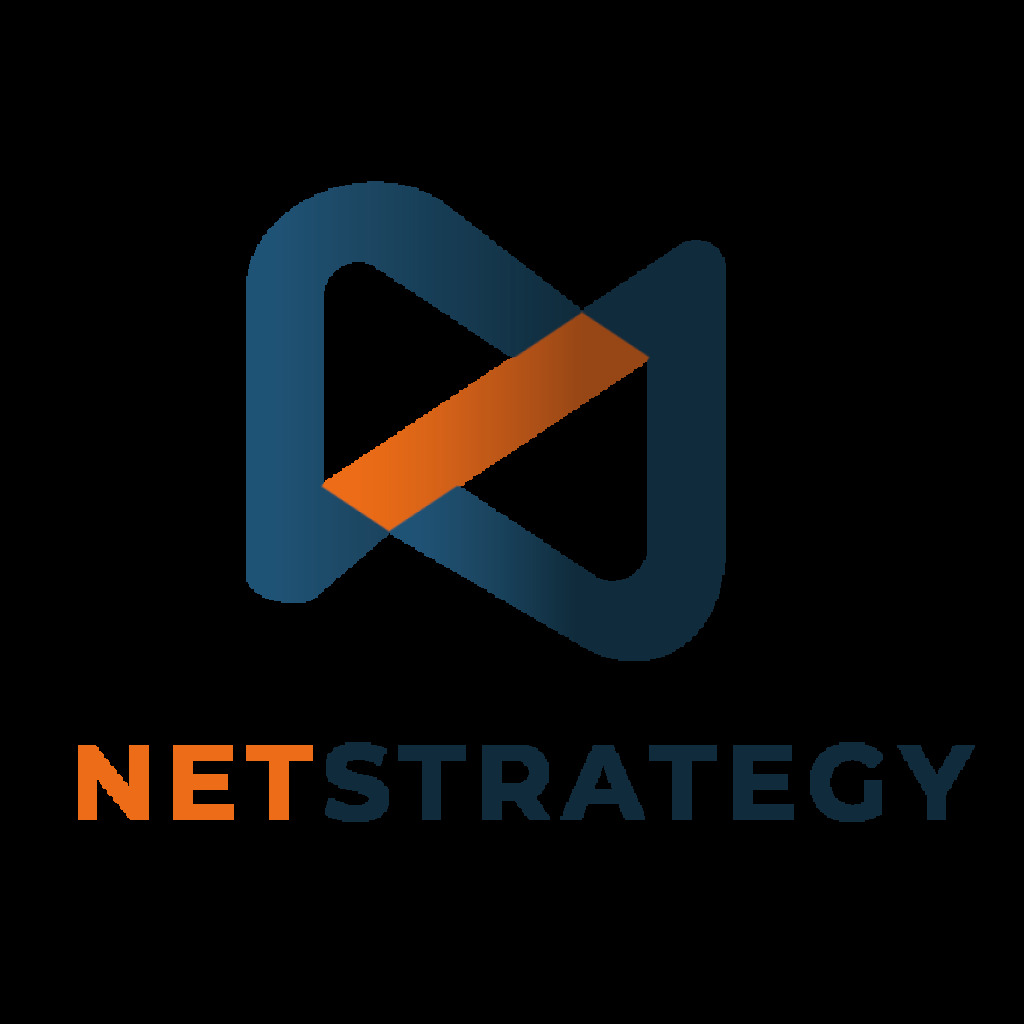 Logo agence Net Strategy