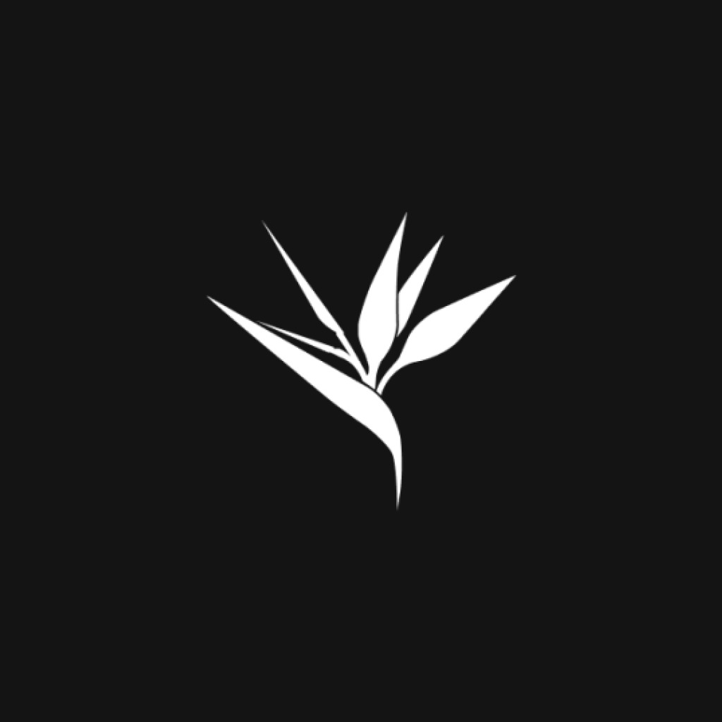 Strelizia Creative Studio