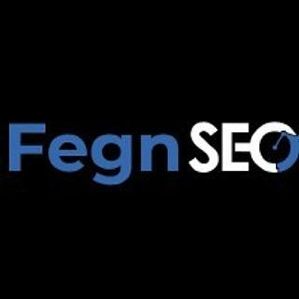 Fegn SEO