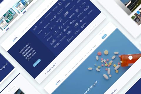 Illustration du projet