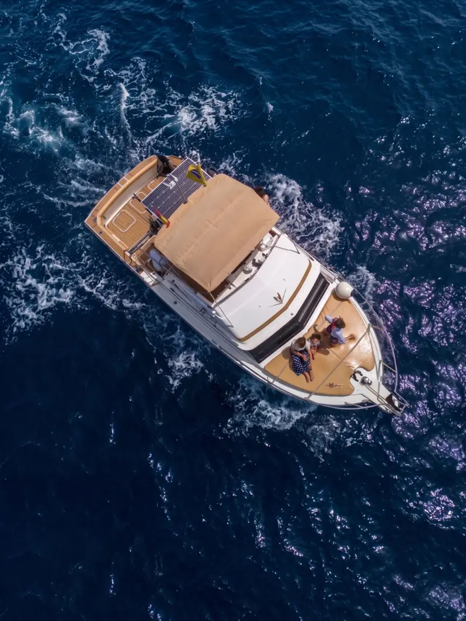 Illustration du projet Web, SEO/GEO y redes sociales para excursiones en barco en Tenerife