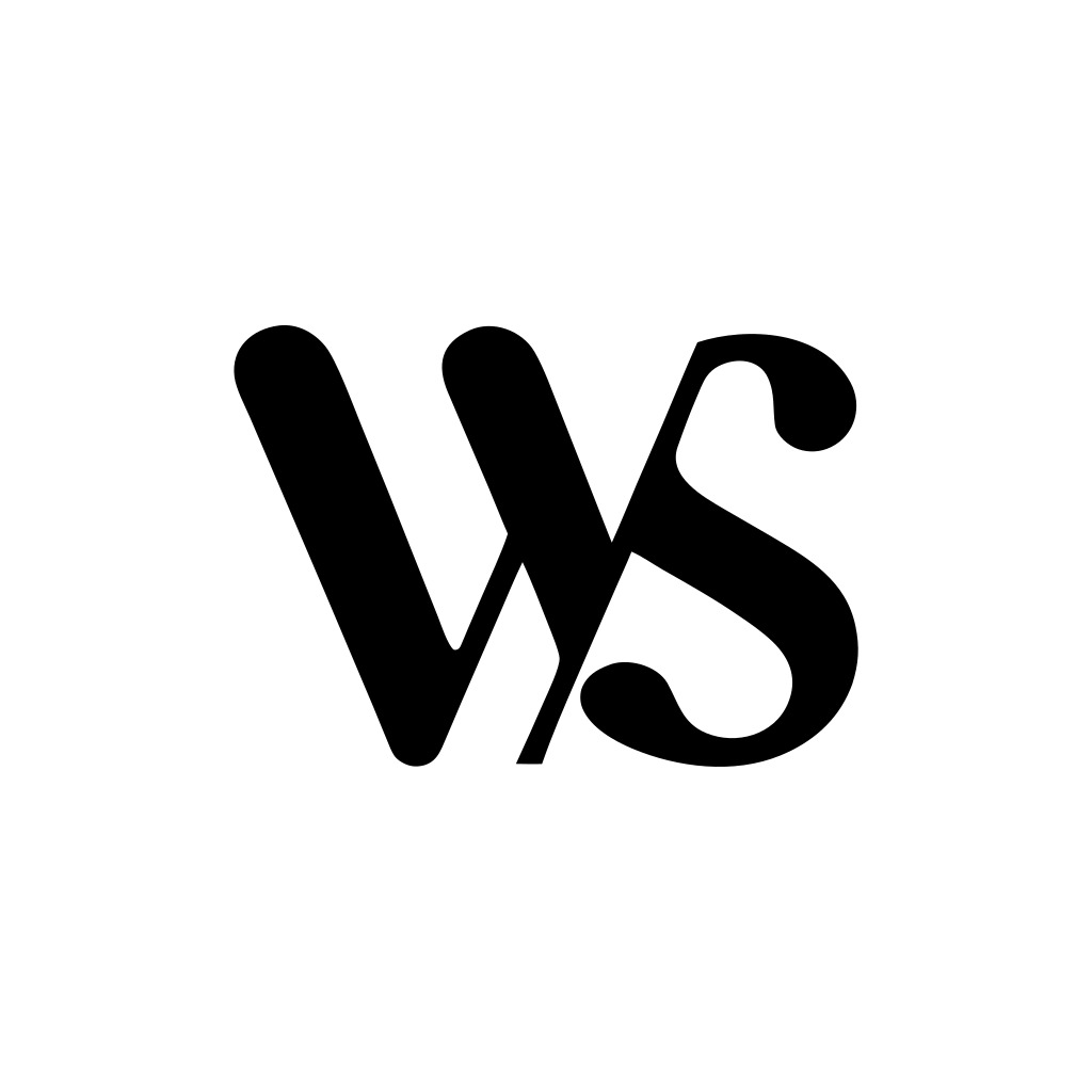 Logo agence WS Agency