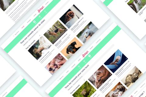 Illustration du projet