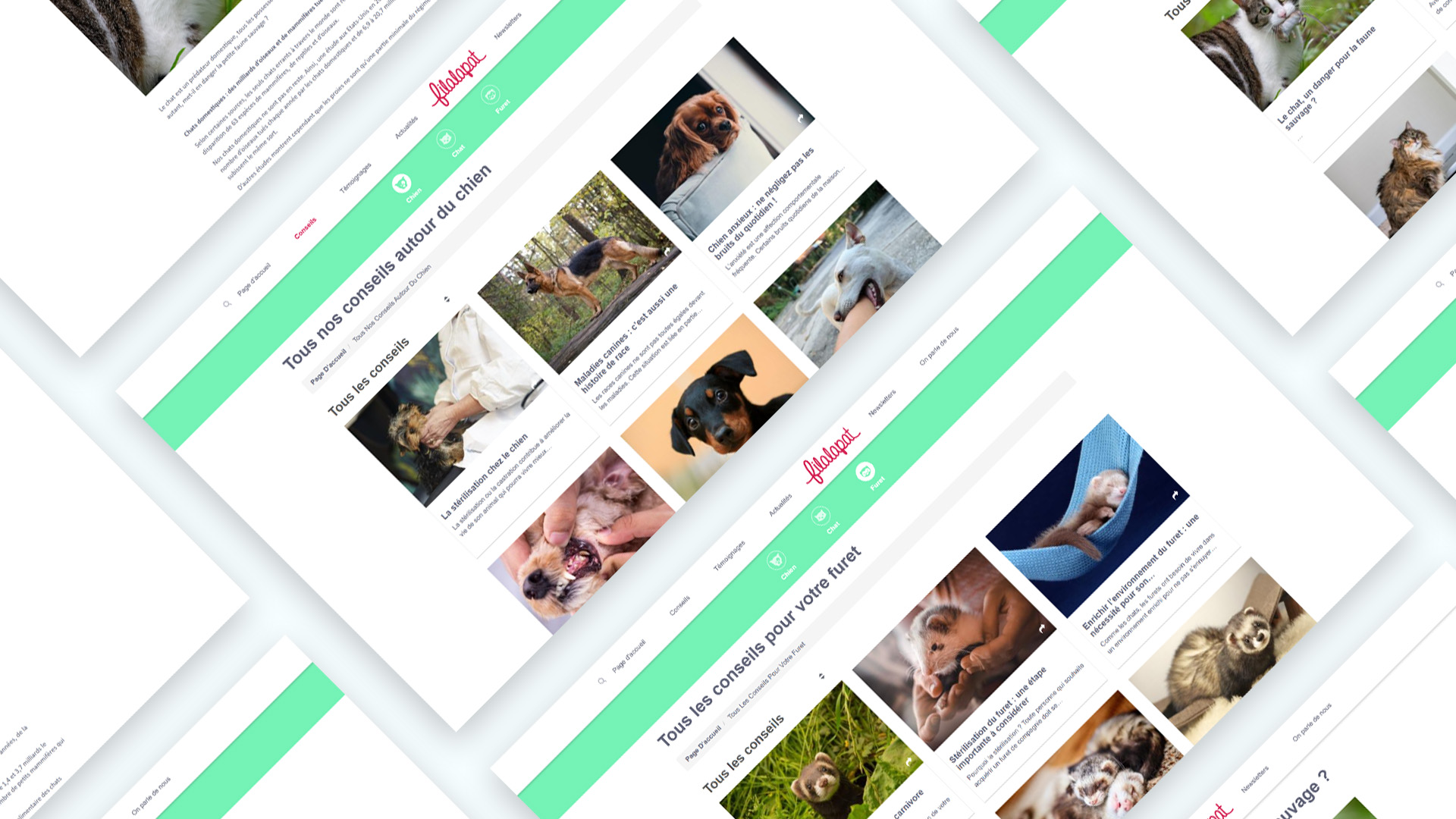 Illustration du projet Refonte du site et de l'application Filalapat ICad