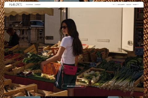 Illustration du projet