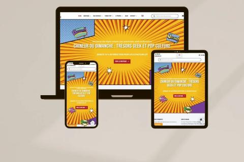 Illustration du projet