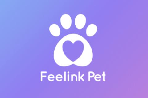 Illustration du projet