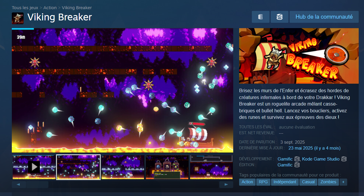 Illustration du projet Viking Breaker