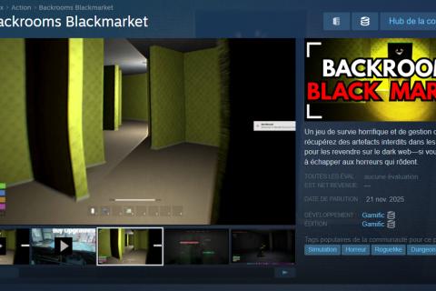 Illustration du projet