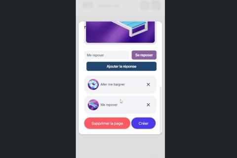 Illustration du projet