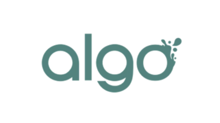 Illustration du projet Peinture Algo : un site moderne, ultra design et performant.