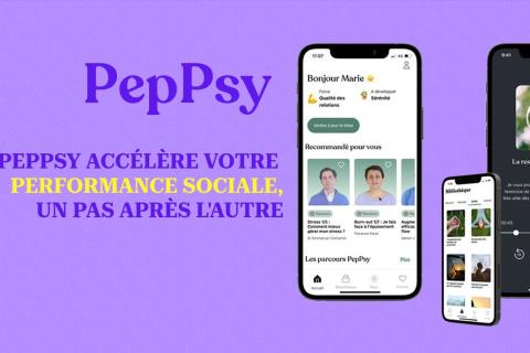 Illustration du projet