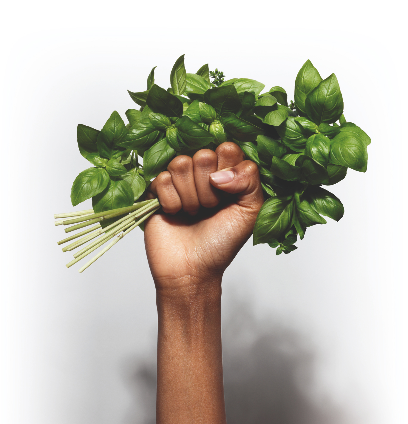 Illustration du projet Darégal – Refonte de l'identité visuelle et communication