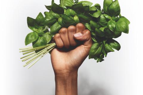 Illustration du projet