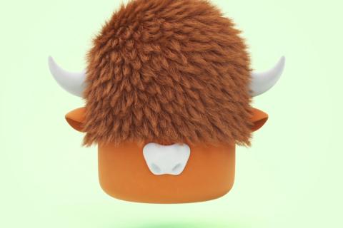 Illustration du projet