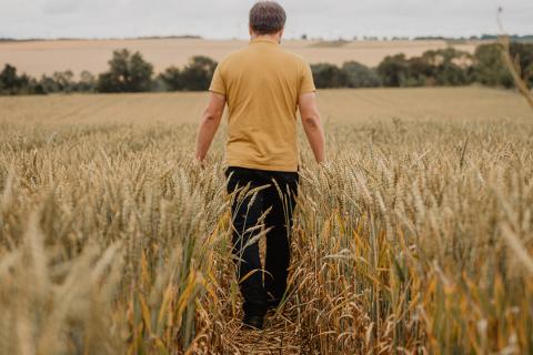 Illustration du projet