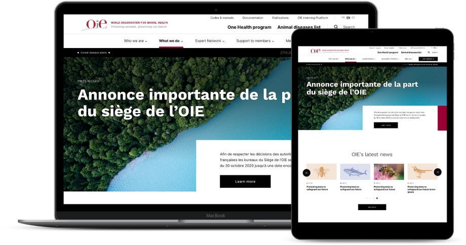 Illustration du projet Accompagnement AMOA pour la refonte du site institutionnel