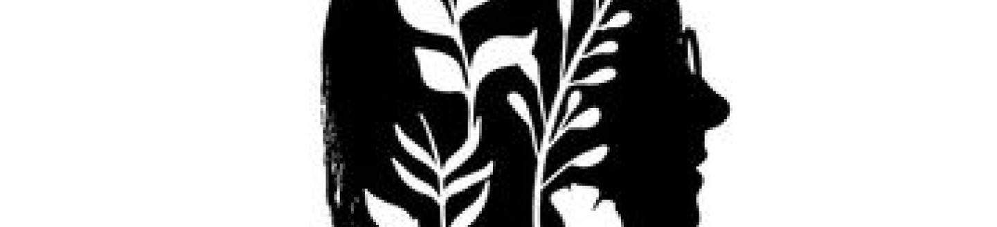 Couverture de l'agence YACK-CONCEPTION