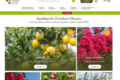 Illustration du projet