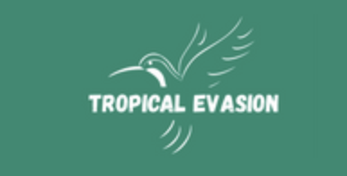 Illustration du projet Circuits et séjours sur-mesure en République Dominicaine avec Tropical Évasion