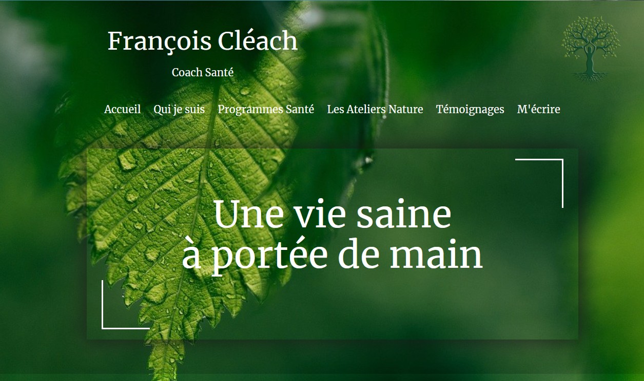 Illustration du projet Site internet de bien-être et santé naturelle