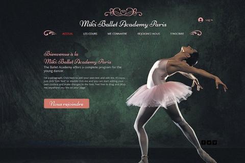 Illustration du projet