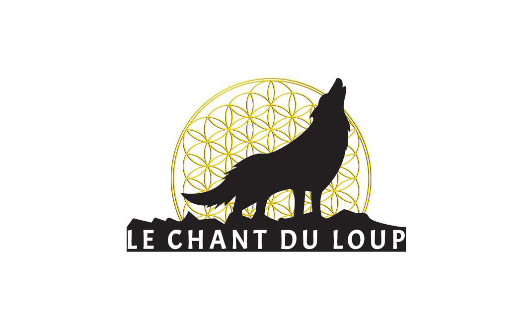 Illustration du projet Site internet pour le gîtes Le Chant du Loup