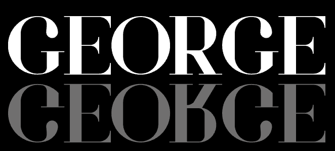 Illustration du projet George