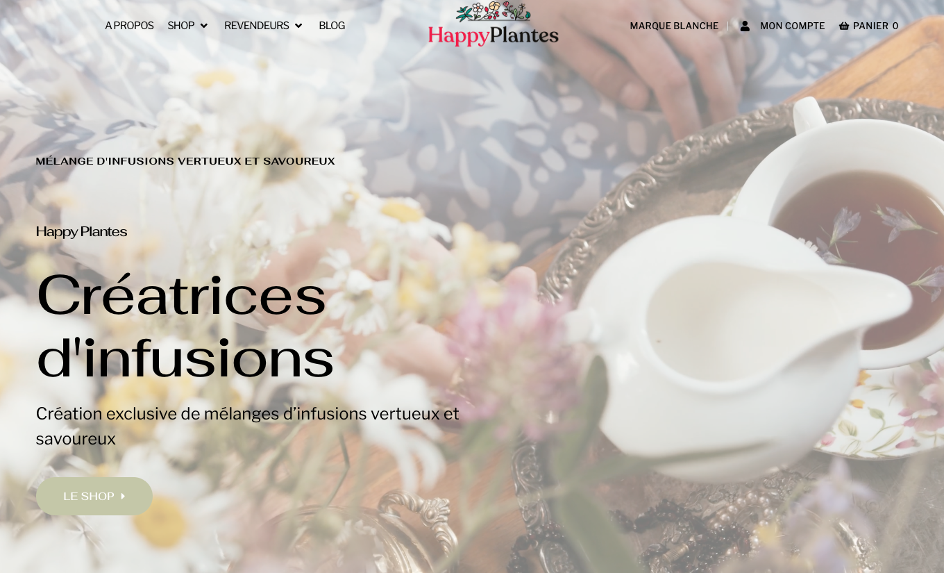 Illustration du projet Site e-commerce et vitrine pour infusions bio locales