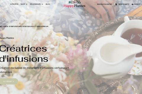 Illustration du projet