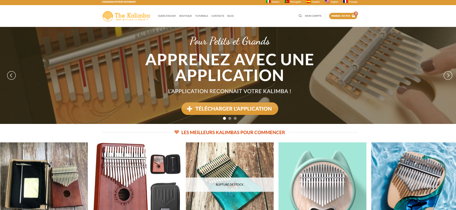 Illustration du projet Boutique en ligne et services digitaux pour instruments Kalimba