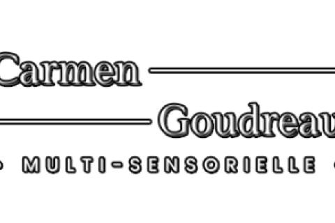 Illustration du projet