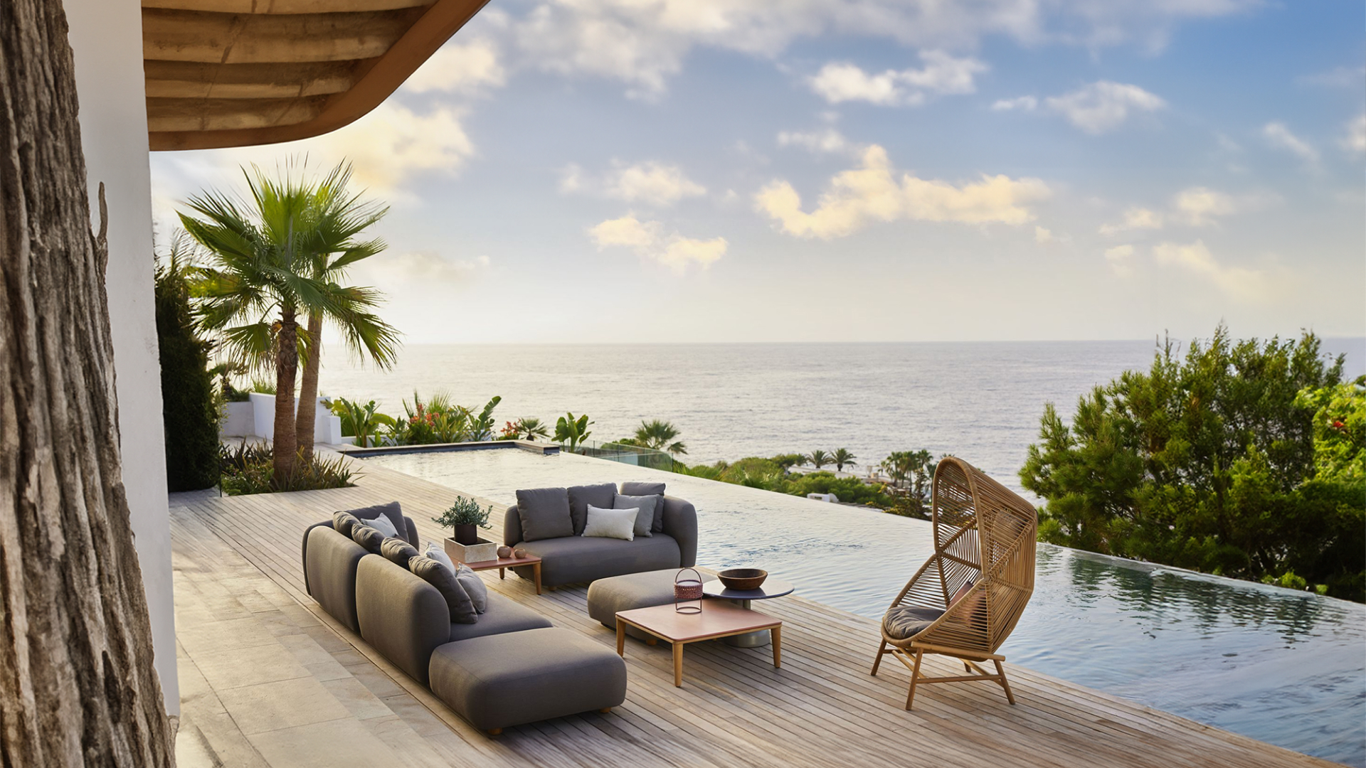 Illustration du projet Le Cèdre Rouge