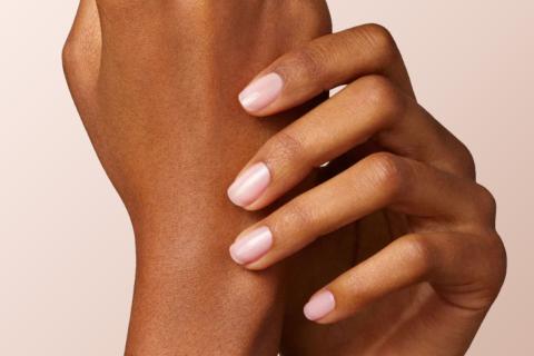 Illustration du projet