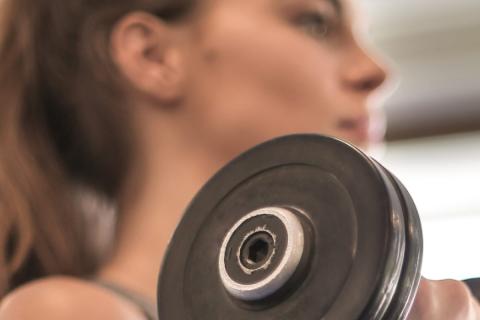 Illustration du projet