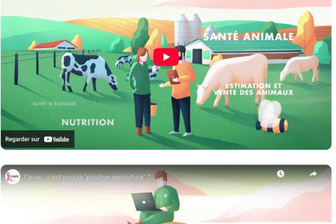 Illustration du projet