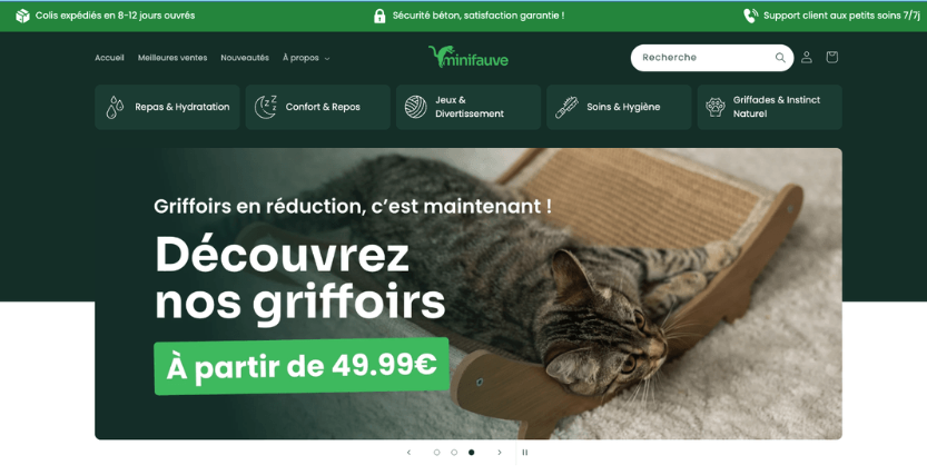 Illustration du projet Le Naming de Mini Fauve