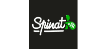 Logo agence Agence web Spinat