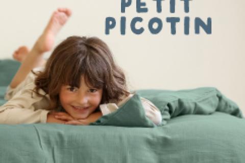 Illustration du projet