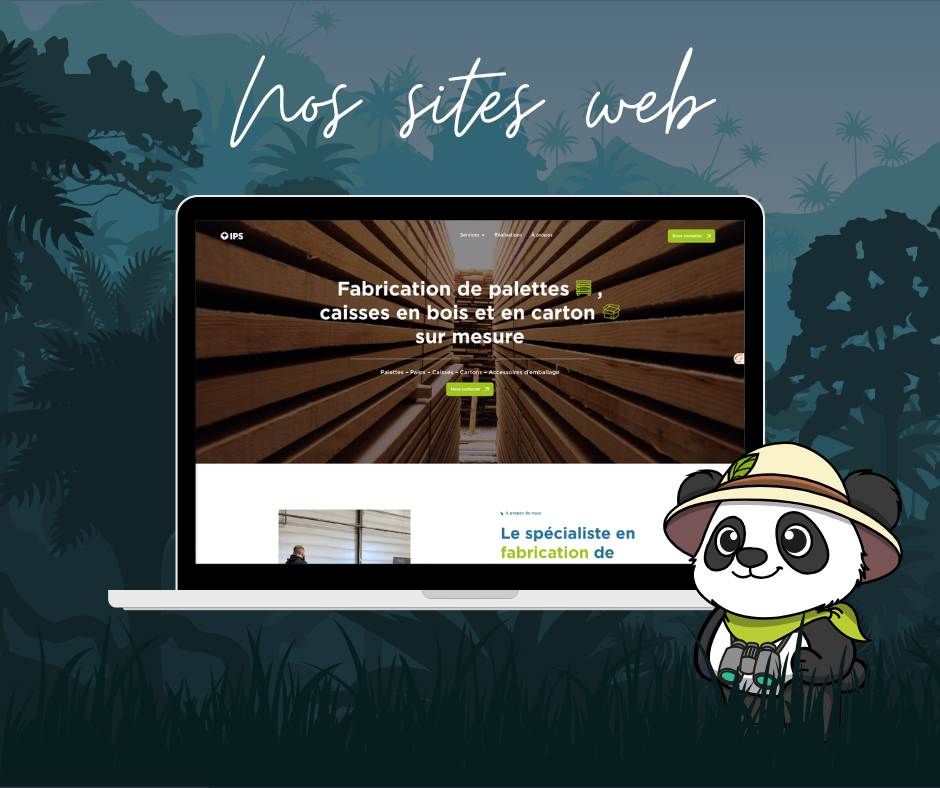 Illustration du projet Projet global de communication pour IPS