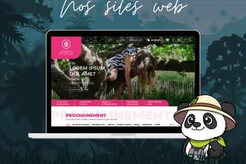 Illustration du projet