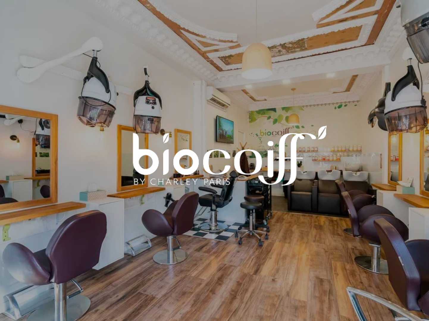 Illustration du projet Biocoiff’ x Panda Communication : la Rébiolution du référencement