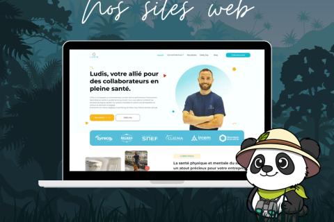 Illustration du projet