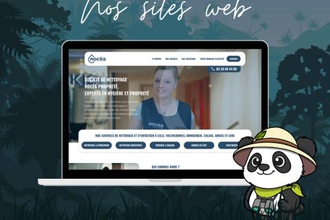 Illustration du projet