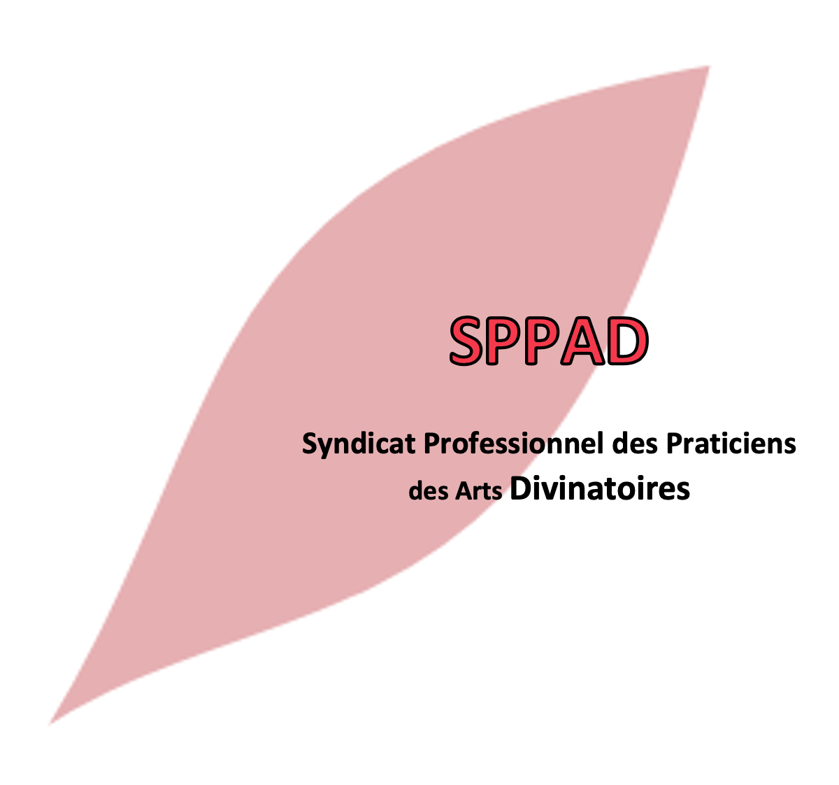 Illustration du projet Site web institutionnel pour le Syndicat Professionnel des Praticiens des Arts Divinatoires (SPPAD)