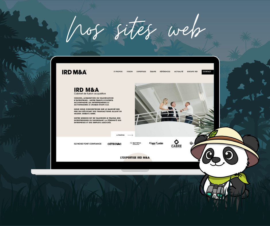 Illustration du projet IRD M&A x Panda Communication : refonte graphique et stratégie SEO au service de l’expertise