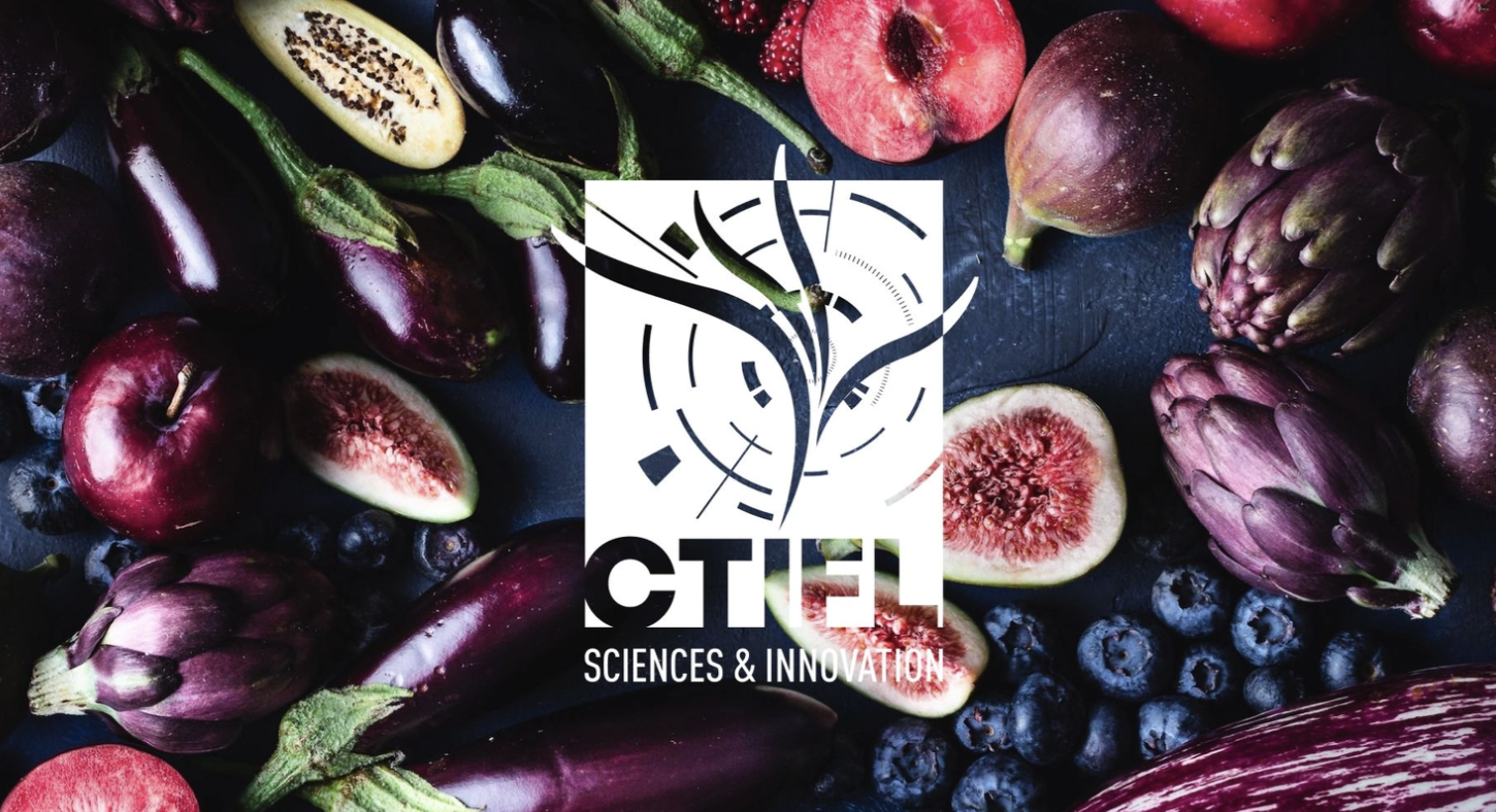 Illustration du projet Optimisation de la gestion de contenus spécifiques sur Magento pour le CTIFL