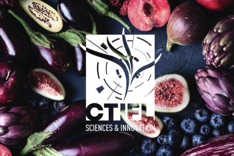 Illustration du projet