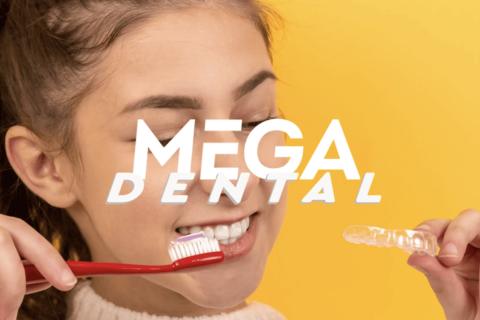 Illustration du projet